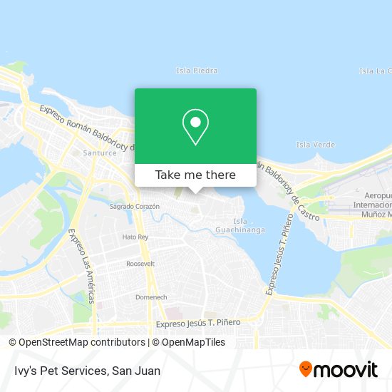 Mapa de Ivy's Pet Services