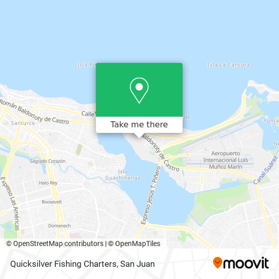 Quicksilver Fishing Charters map