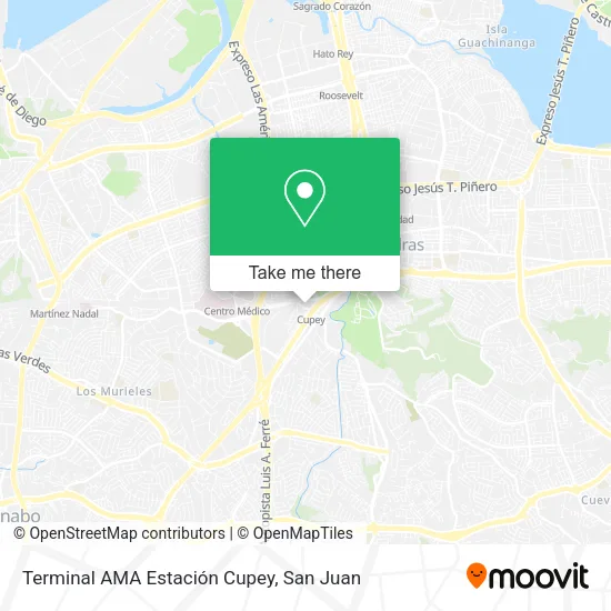 Mapa de Terminal AMA Estación Cupey
