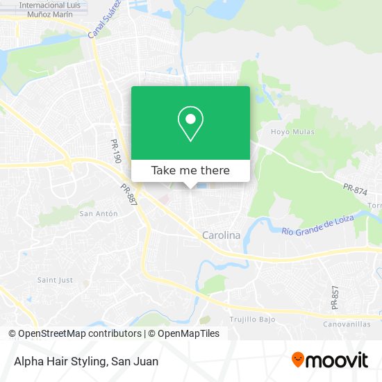 Alpha Hair Styling map