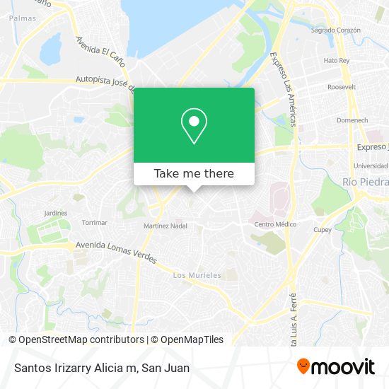 Santos Irizarry Alicia m map