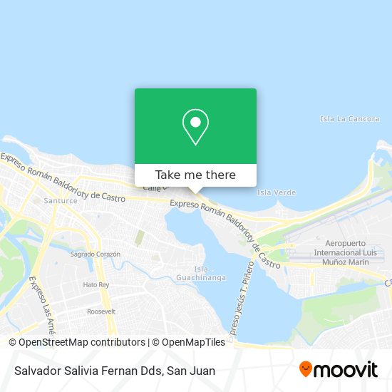 Salvador Salivia Fernan Dds map