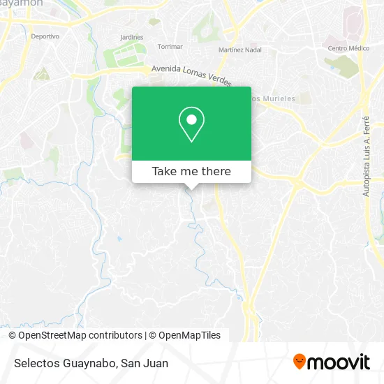 Mapa de Selectos Guaynabo