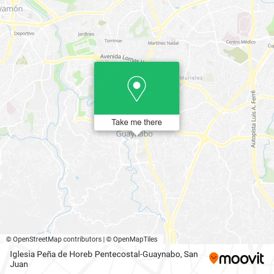 Iglesia Peña de Horeb Pentecostal-Guaynabo map