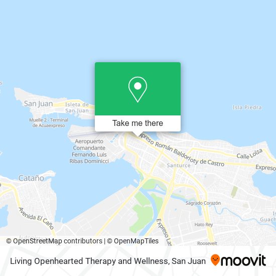 Living Openhearted Therapy and Wellness map