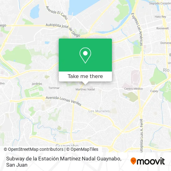 Subway de la Estación Martínez Nadal Guaynabo map
