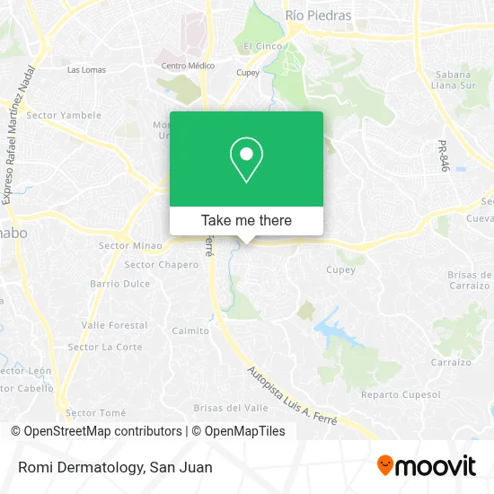 Romi Dermatology map
