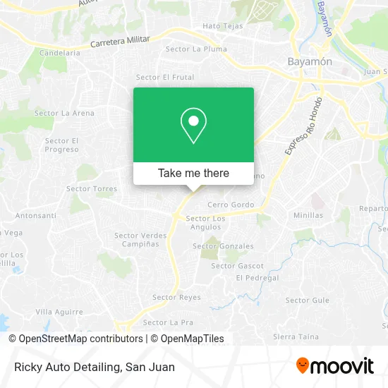 Ricky Auto Detailing map