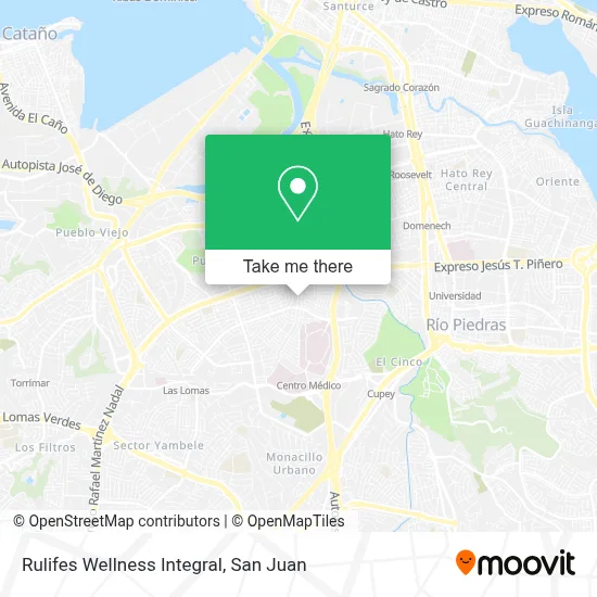 Rulifes Wellness Integral map