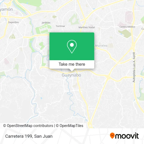 Carretera 199 map