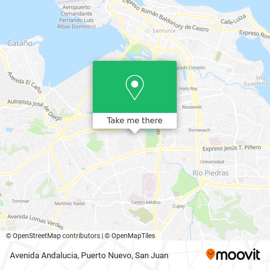 Avenida Andalucia, Puerto Nuevo map