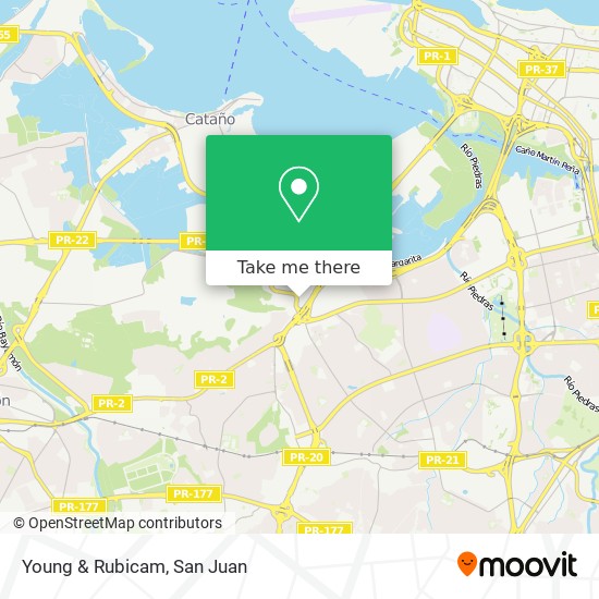 Young & Rubicam map