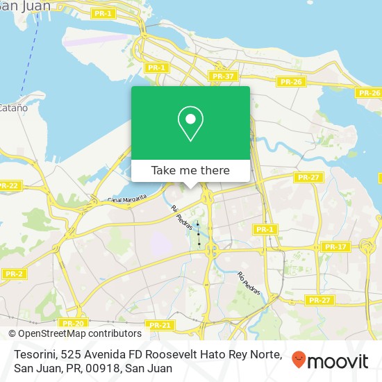 Mapa de Tesorini, 525 Avenida FD Roosevelt Hato Rey Norte, San Juan, PR, 00918