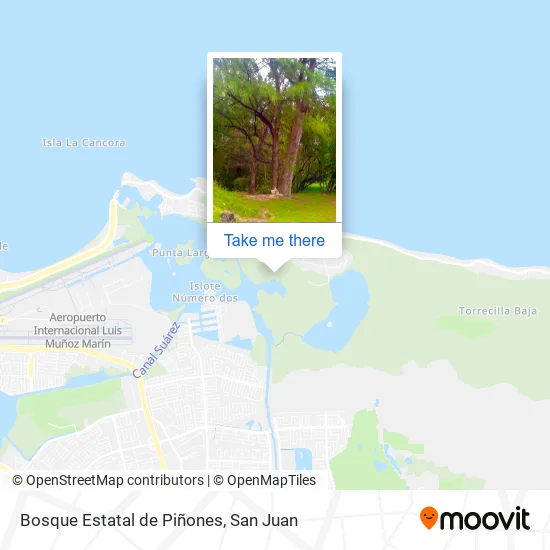 Bosque Estatal de Piñones map