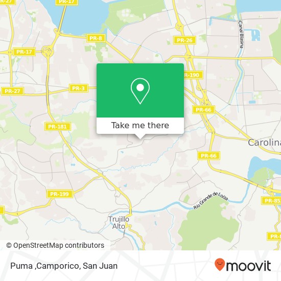 Puma ,Camporico map