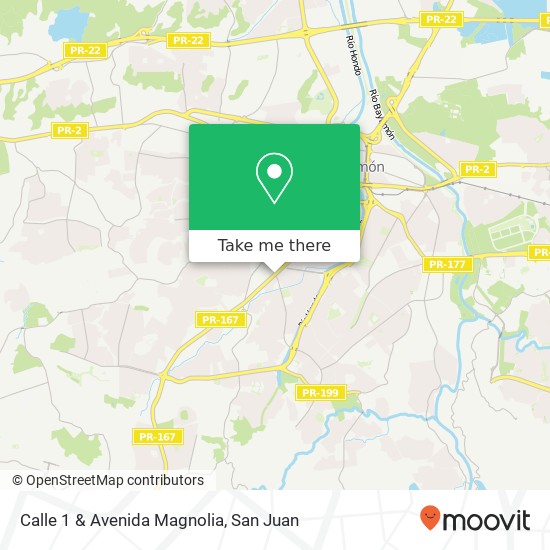 Mapa de Calle 1 & Avenida Magnolia