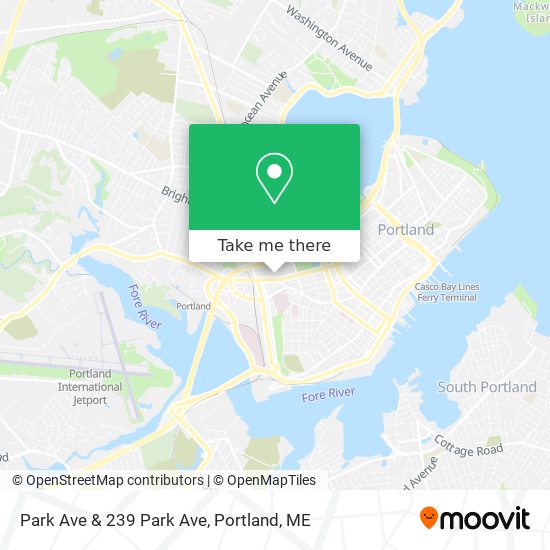 Park Ave & 239 Park Ave map