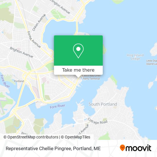 Representative Chellie Pingree map