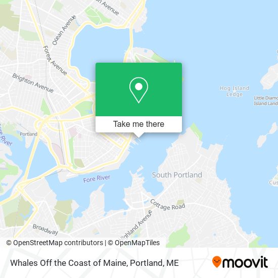 Whales Off the Coast of Maine map