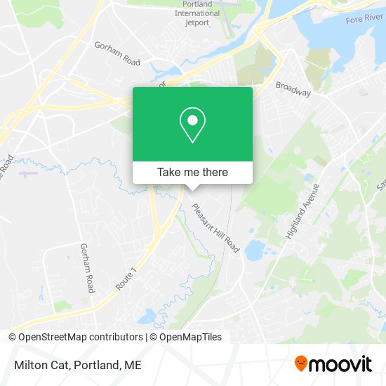 Milton Cat map