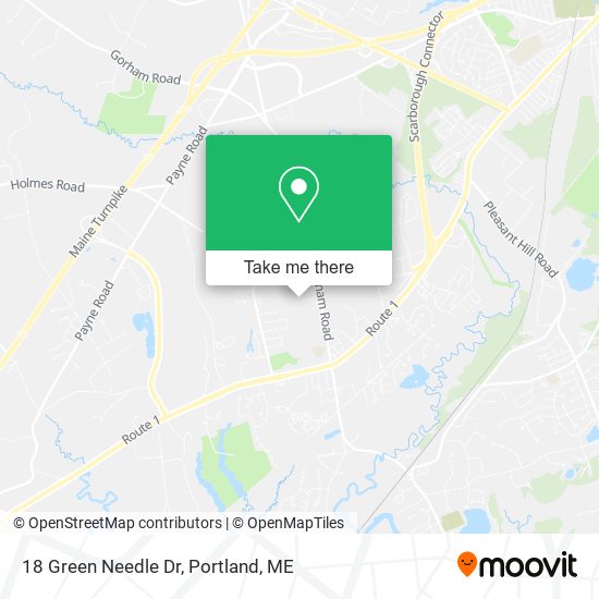 18 Green Needle Dr map
