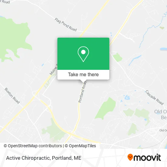 Active Chiropractic map