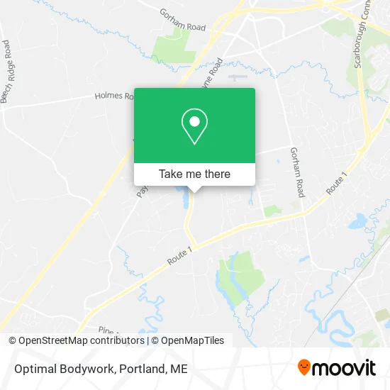 Optimal Bodywork map