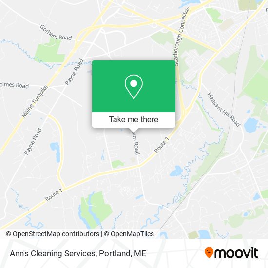 Ann's Cleaning Services map
