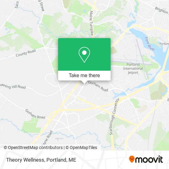 Theory Wellness map