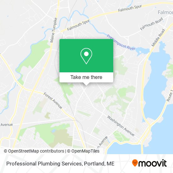 Professional Plumbing Services map