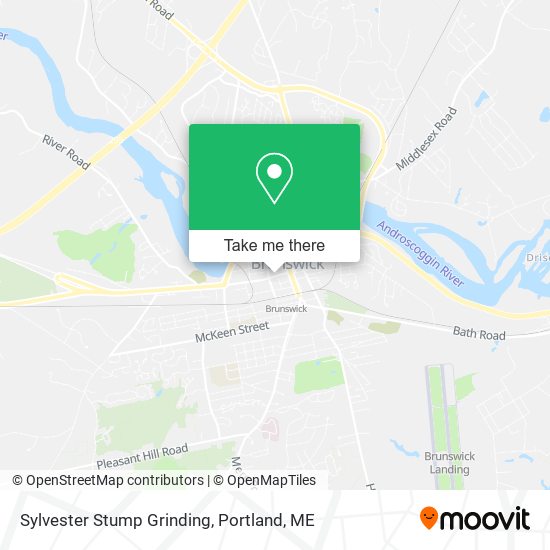 Sylvester Stump Grinding map