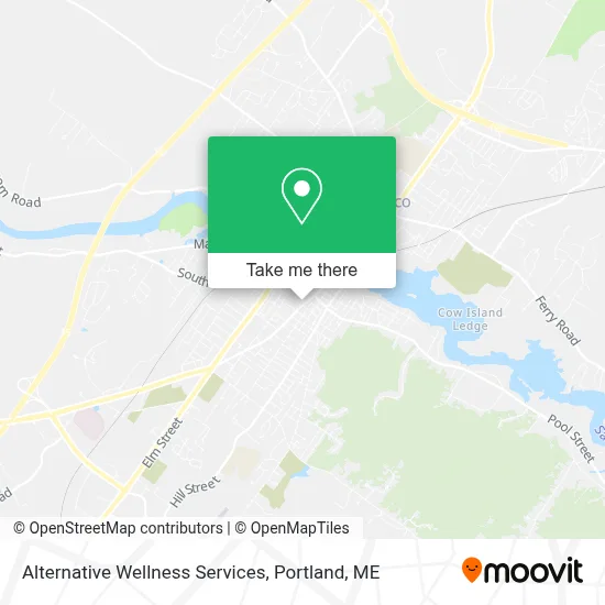 Alternative Wellness Services map
