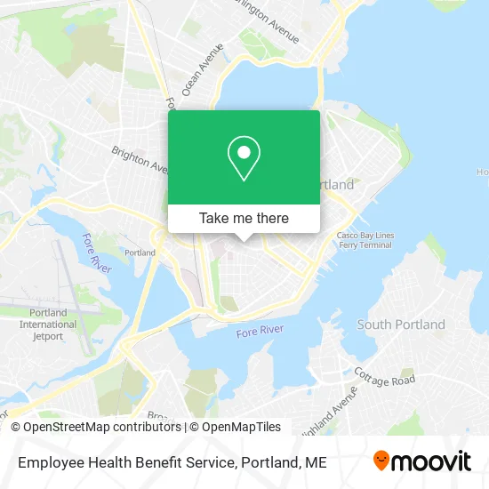 Employee Health Benefit Service map
