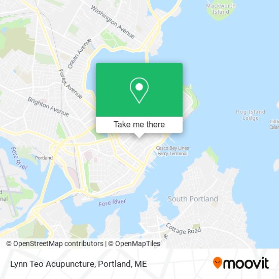 Lynn Teo Acupuncture map