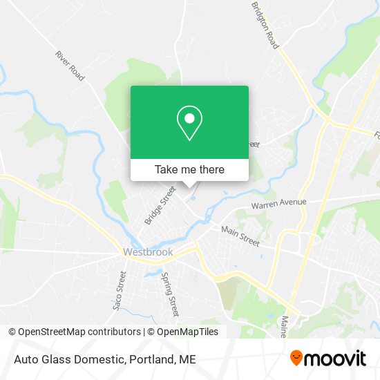 Auto Glass Domestic map