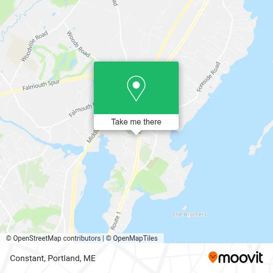 Constant map