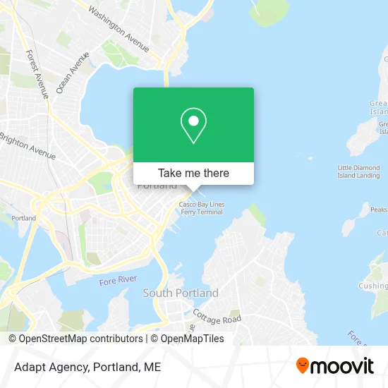 Adapt Agency map