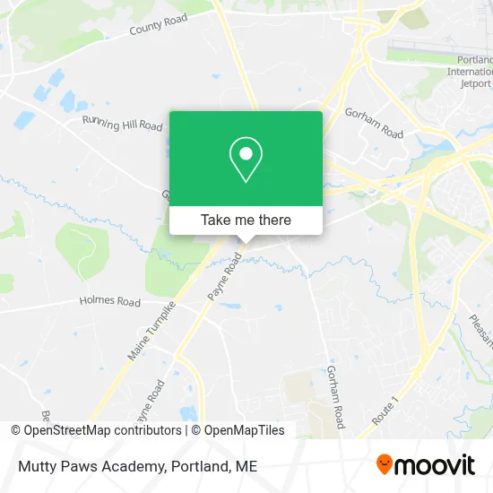 Mutty Paws Academy map