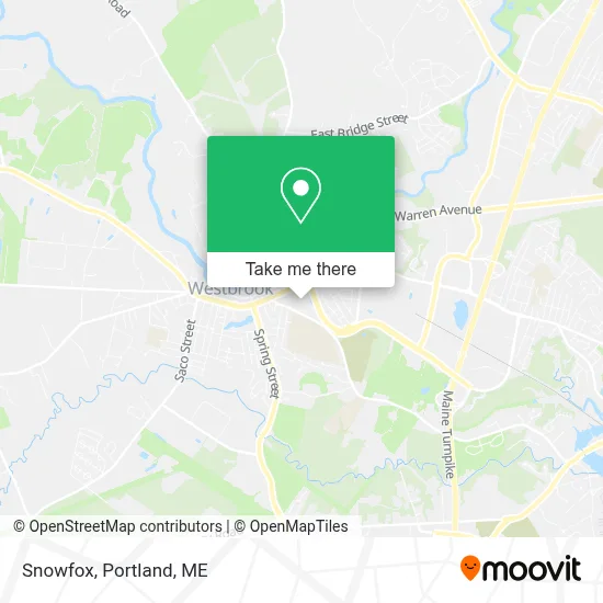Snowfox map