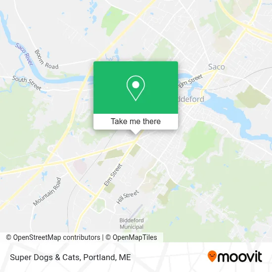 Super Dogs & Cats map