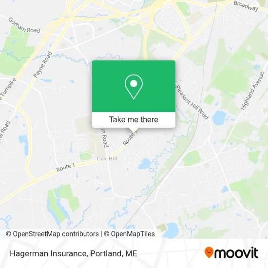Hagerman Insurance map