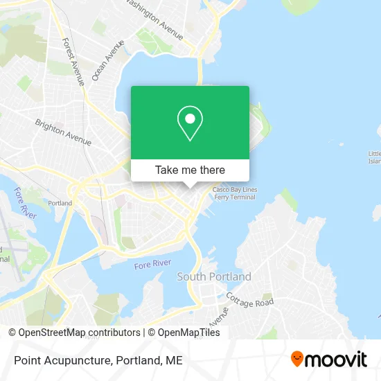 Point Acupuncture map