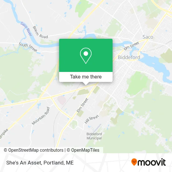She's An Asset map