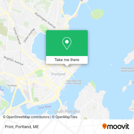 Print map