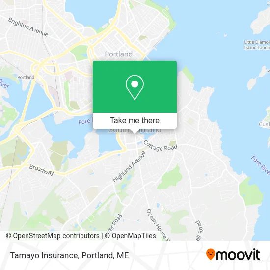 Tamayo Insurance map