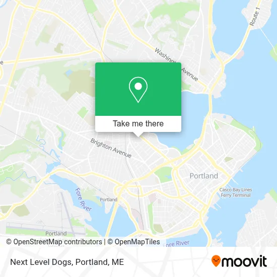 Next Level Dogs map