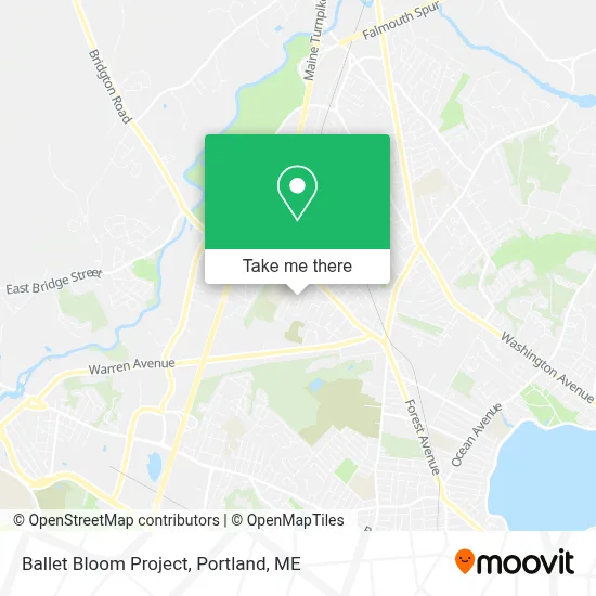 Ballet Bloom Project map
