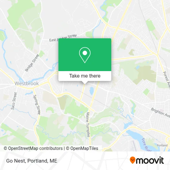 Go Nest map