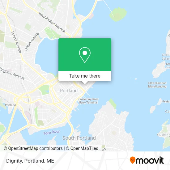 Dignity map