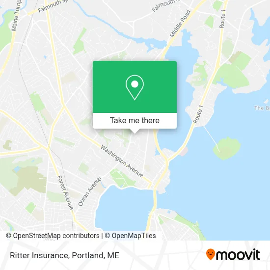 Ritter Insurance map